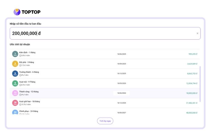 Hình ảnh tính lợi nhuận TOPTOP 12 tháng nhanh chóng, đơn giản trên công cụ