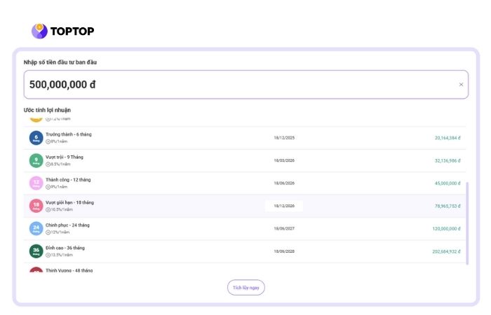 Công cụ tính lợi nhuận TOPTOP 18 tháng đơn giản, nhanh chóng